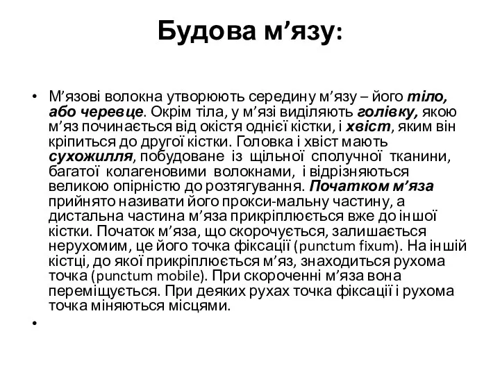 Будова м’язу: М’язові волокна утворюють середину м’язу – його тіло,