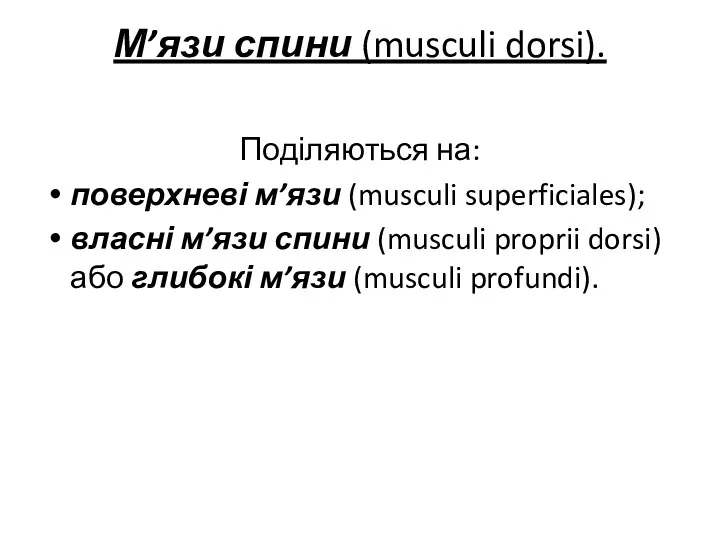 М’язи спини (musculi dorsi). Поділяються на: поверхневі м’язи (musculi superficiales);