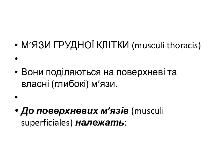 М’ЯЗИ ГРУДНОЇ КЛІТКИ (musculi thoracis) Вони поділяються на поверхневі та