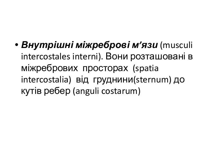 Внутрішні міжреброві м’язи (musculi intercostales interni). Вони розташовані в міжребрових