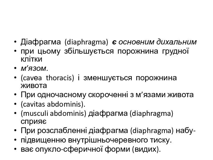 Діафрагма (diaphragma) є основним дихальним при цьому збільшується порожнина грудної