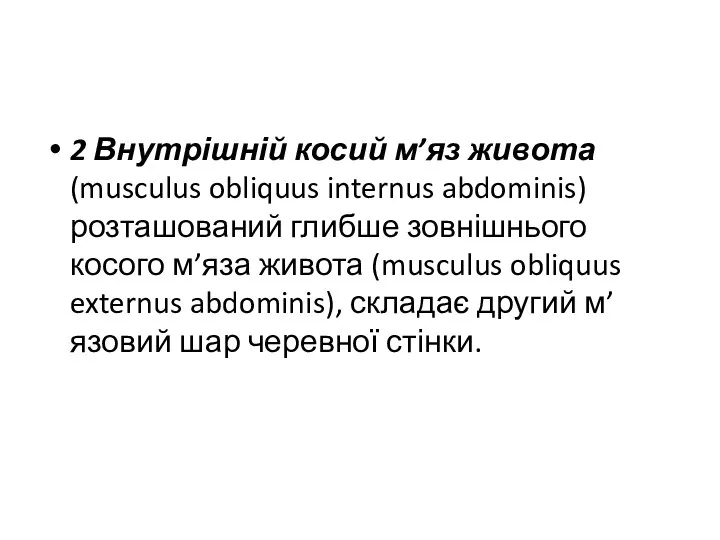 2 Внутрішній косий м’яз живота (musculus obliquus internus abdominis) розташований