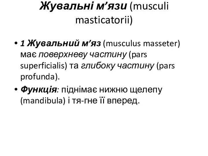 Жувальні м’язи (musculi masticatorii) 1 Жувальний м’яз (musculus masseter) має