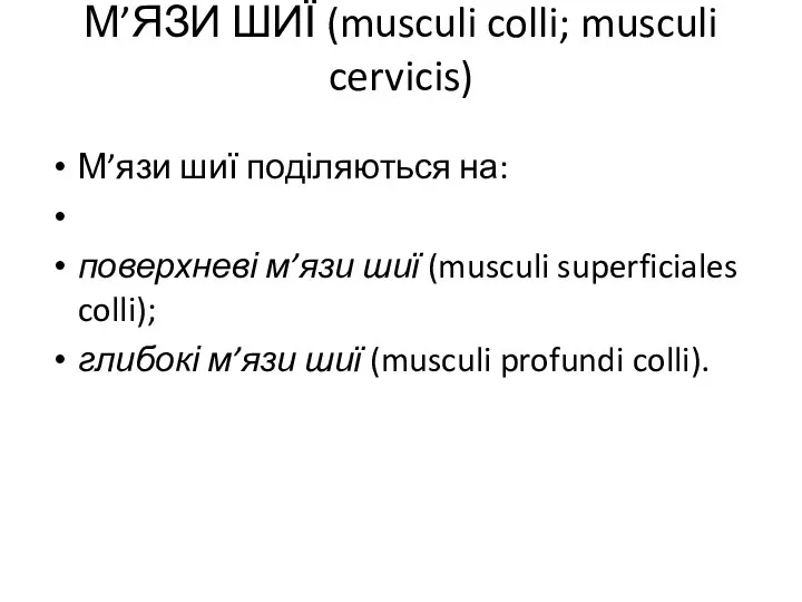 М’ЯЗИ ШИЇ (musculi colli; musculi cervicis) М’язи шиї поділяються на: