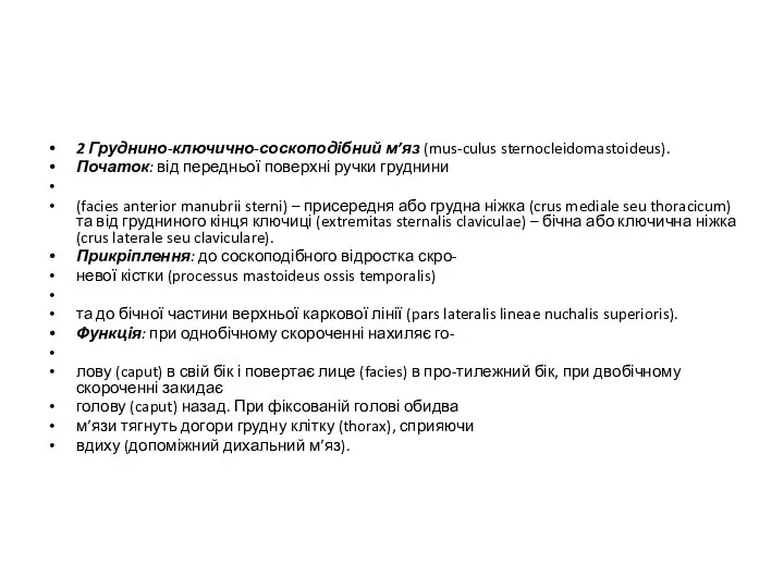 2 Груднино-ключично-соскоподібний м’яз (mus-culus sternocleidomastoideus). Початок: від передньої поверхні ручки