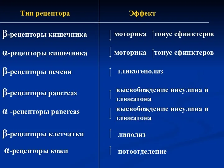 Тип рецептора Эффект α-рецепторы кожи α-рецепторы кишечника моторика тонус сфинктеров α -рецепторы pancreas