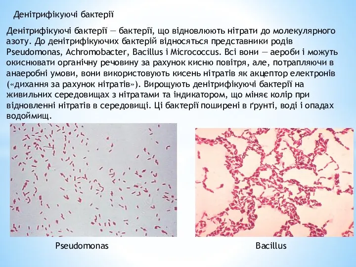 Денітрифікуючі бактерії — бактерії, що відновлюють нітрати до молекулярного азоту.
