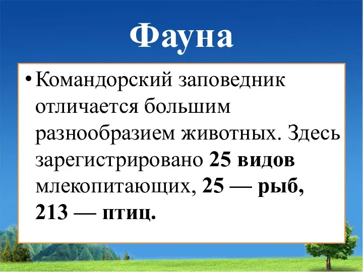 Фауна Командорский заповедник отличается большим разнообразием животных. Здесь зарегистрировано 25