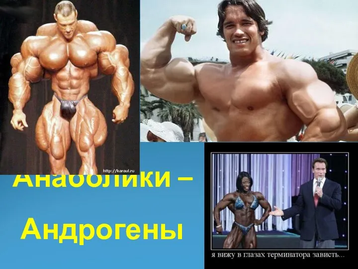 Анаболики – Андрогены Created by dr’ Emil Birman