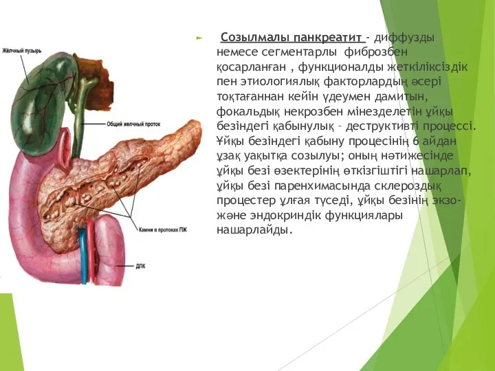 Созылмалы панкреатит - диффузды немесе сегментарлы фиброзбен қосарланған , функционалды