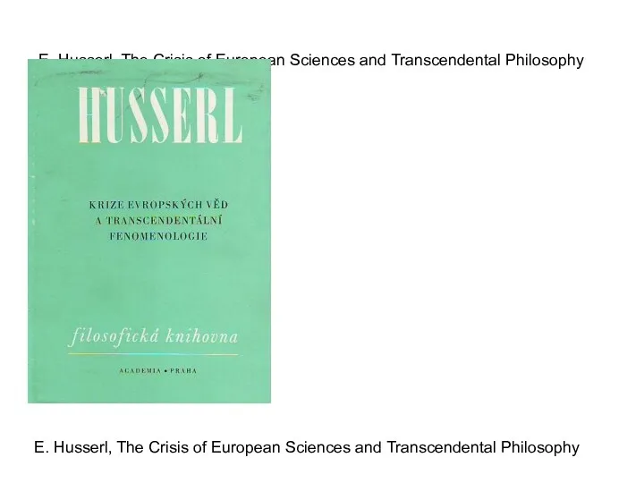 E. Husserl, The Crisis of European Sciences and Transcendental Philosophy