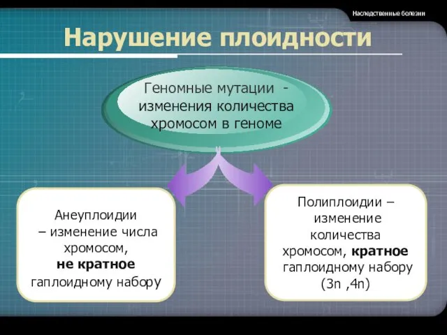 Нарушение плоидности Наследственные болезни Геномные мутации - изменения количества хромосом в геноме Анеуплоидии