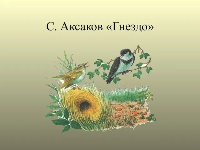 С. Аксаков «Гнездо»