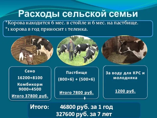 Расходы сельской семьи *Корова находится 6 мес. в стойле и