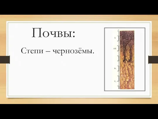 Почвы: Степи – чернозёмы.