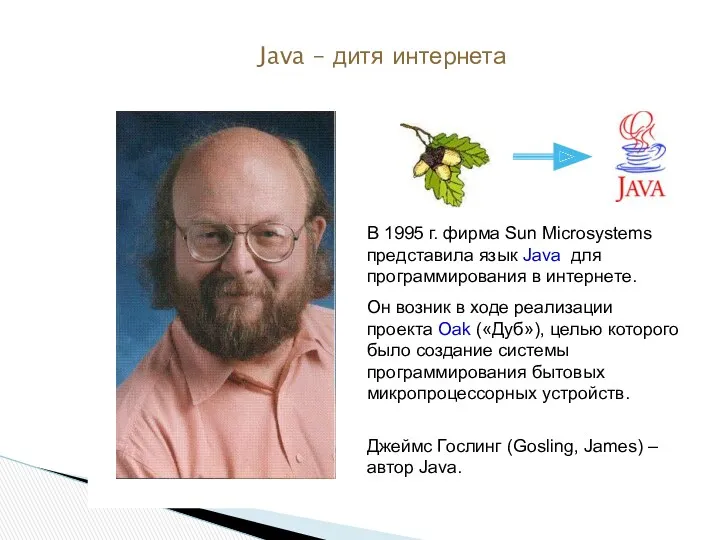 Java – дитя интернета В 1995 г. фирма Sun Microsystems