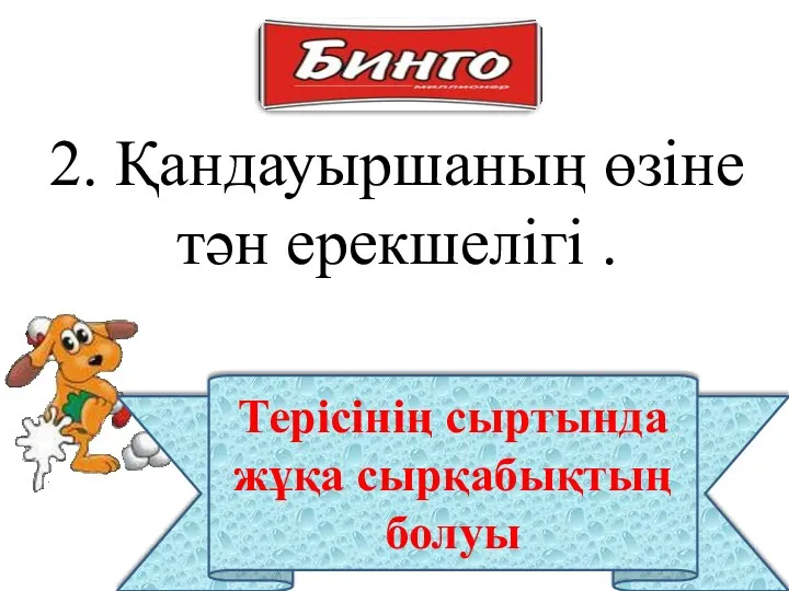 2. Қандауыршаның өзіне тән ерекшелігі . Терісінің сыртында жұқа сырқабықтың болуы