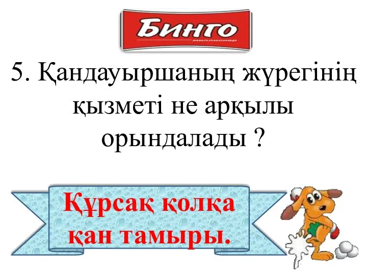 5. Қандауыршаның жүрегінің қызметі не арқылы орындалады ? Құрсақ қолқа қан тамыры.