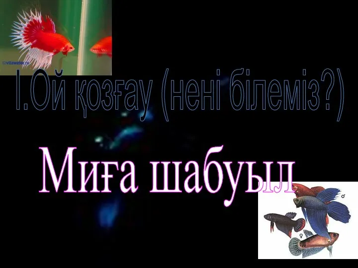 І.Ой қозғау (нені білеміз?) Миға шабуыл