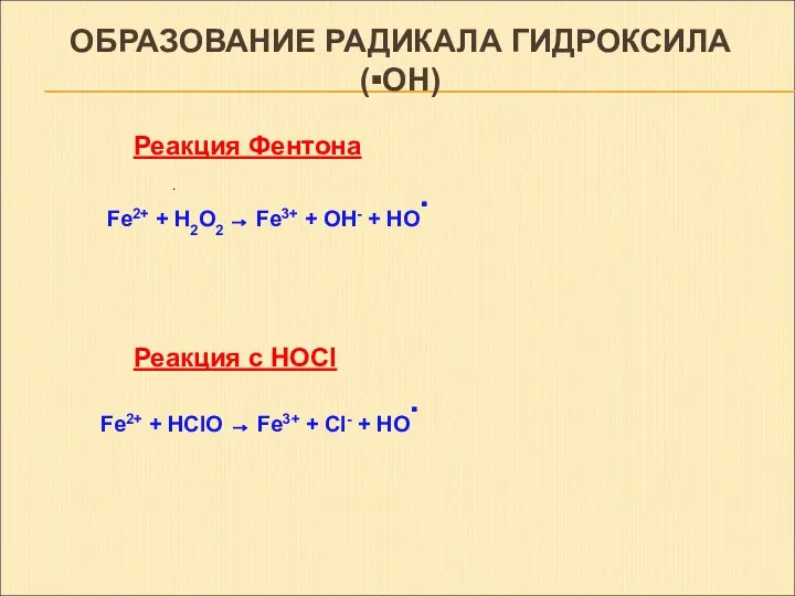 ОБРАЗОВАНИЕ РАДИКАЛА ГИДРОКСИЛА (▪OH) . Fe2+ + HClO → Fe3+