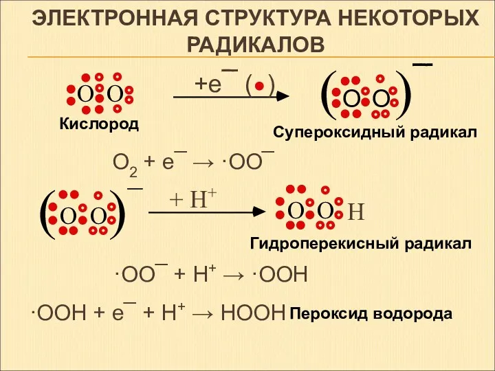 Гидроперекисный радикал Кислород Супероксидный радикал +e¯ ( ) O2 +