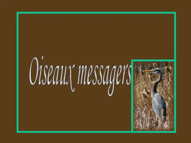 Oiseaux messagers