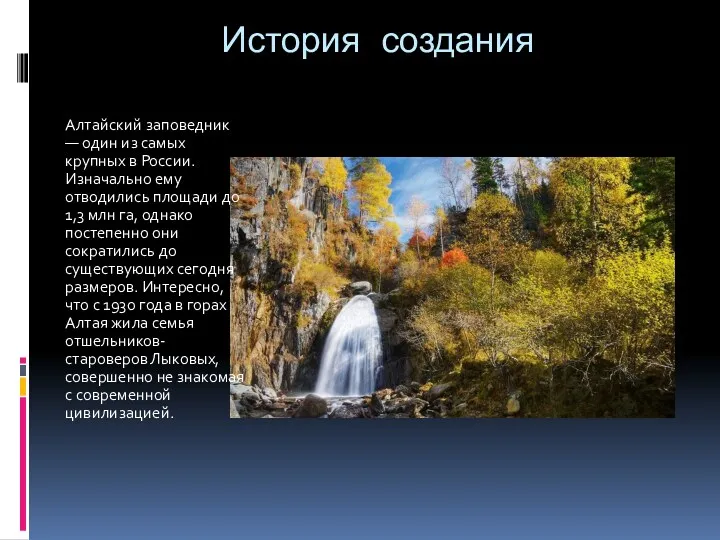 История создания Алтайский заповедник — один из самых крупных в России. Изначально ему