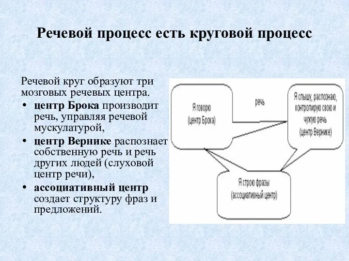 Речевой процесс есть круговой процесс Речевой круг образуют три мозговых