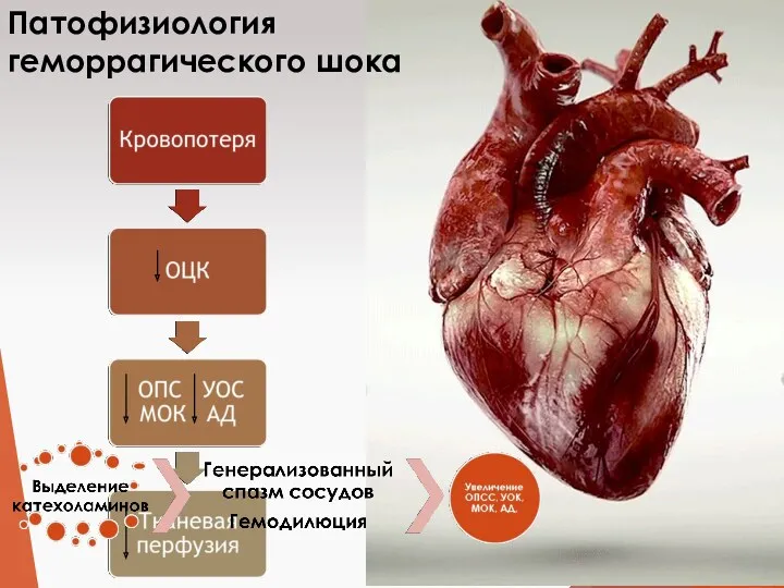 Патофизиология геморрагического шока