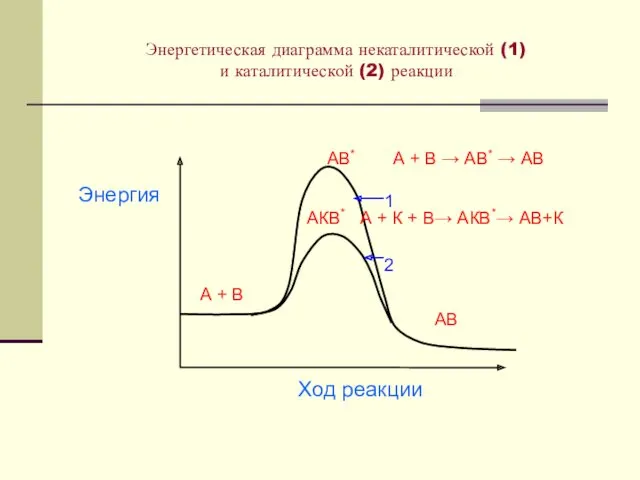Энергетическая диаграмма некаталитической (1) и каталитической (2) реакции