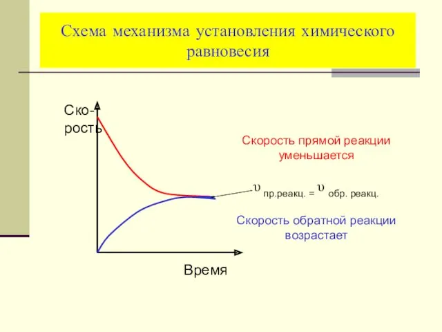 Схема механизма установления химического равновесия