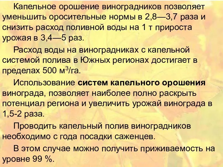 Капельное орошение виноградников позволяет уменьшить оросительные нормы в 2,8—3,7 раза