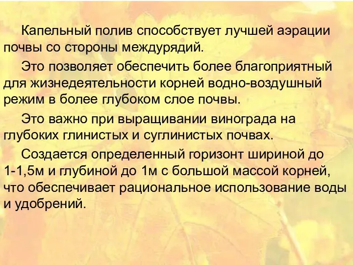 Капельный полив способствует лучшей аэрации почвы со стороны междурядий. Это