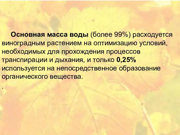 Основная масса воды (более 99%) расходуется виноградным растением на оптимизацию