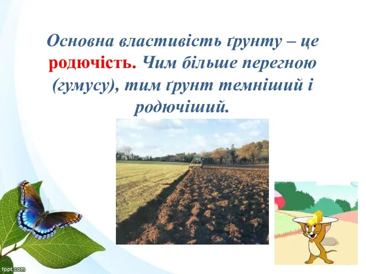 Основна властивість ґрунту – це родючість. Чим більше перегною (гумусу), тим ґрунт темніший і родючіший.