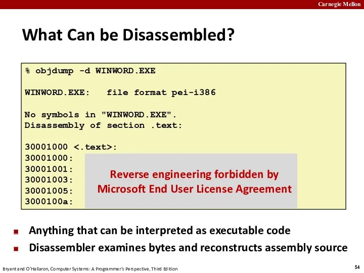 What Can be Disassembled? Anything that can be interpreted as