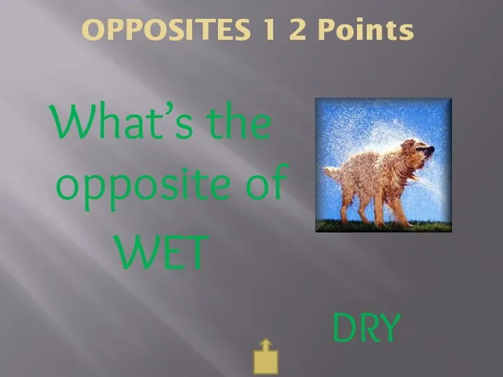 OPPOSITES 1 2 Points What’s the opposite of WET DRY