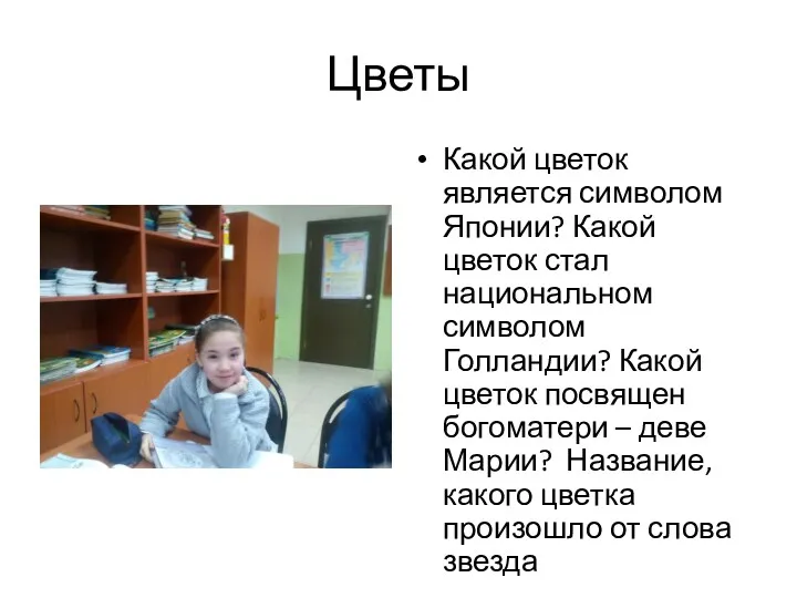 Цветы Какой цветок является символом Японии? Какой цветок стал национальном