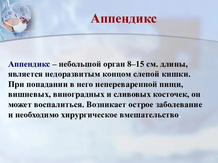 Аппендикс – небольшой орган 8–15 см. длины, является недоразвитым концом