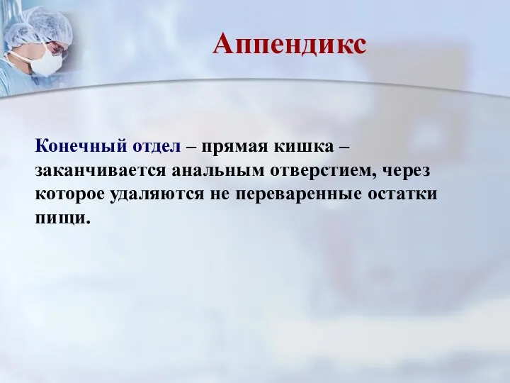 Аппендикс Конечный отдел – прямая кишка – заканчивается анальным отверстием,