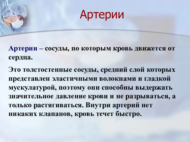 Артерии – сосуды, по которым кровь движется от сердца. Это