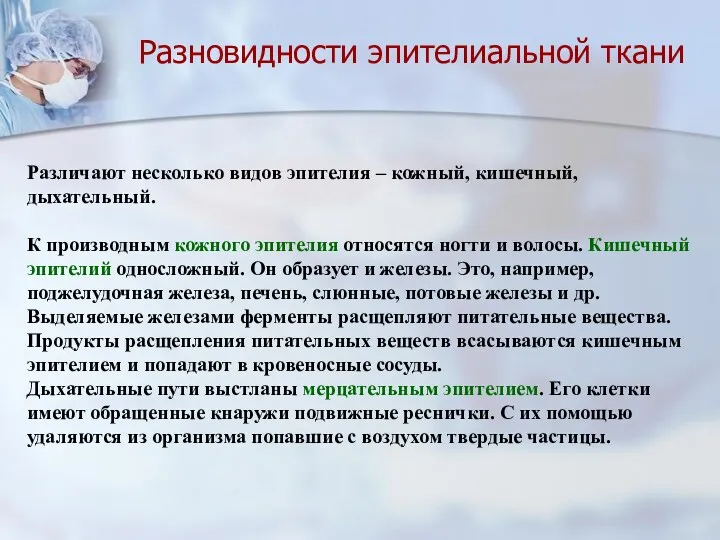 Разновидности эпителиальной ткани Различают несколько видов эпителия – кожный, кишечный,