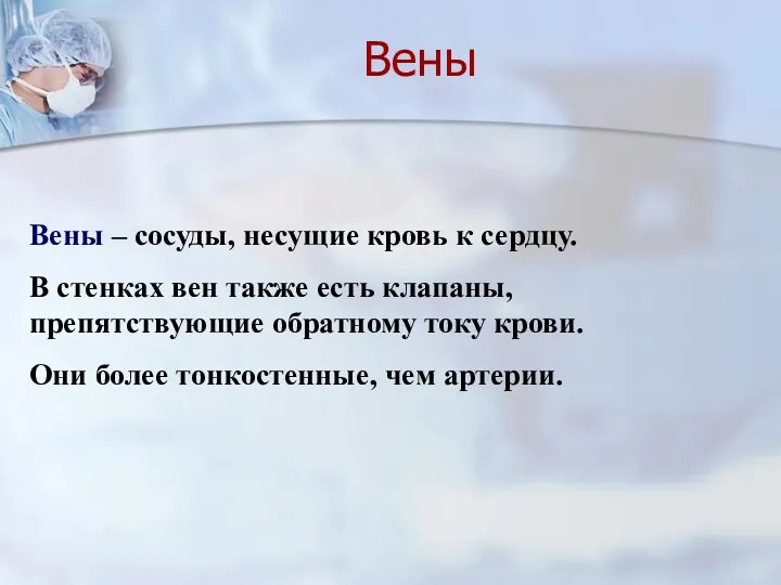 Вены – сосуды, несущие кровь к сердцу. В стенках вен