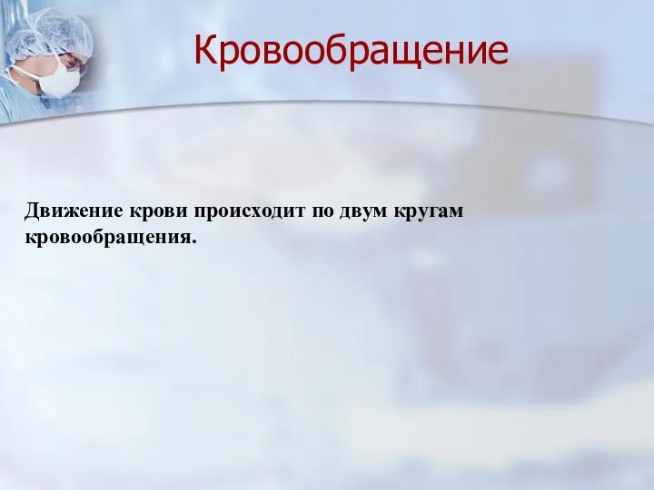 Движение крови происходит по двум кругам кровообращения. Кровообращение