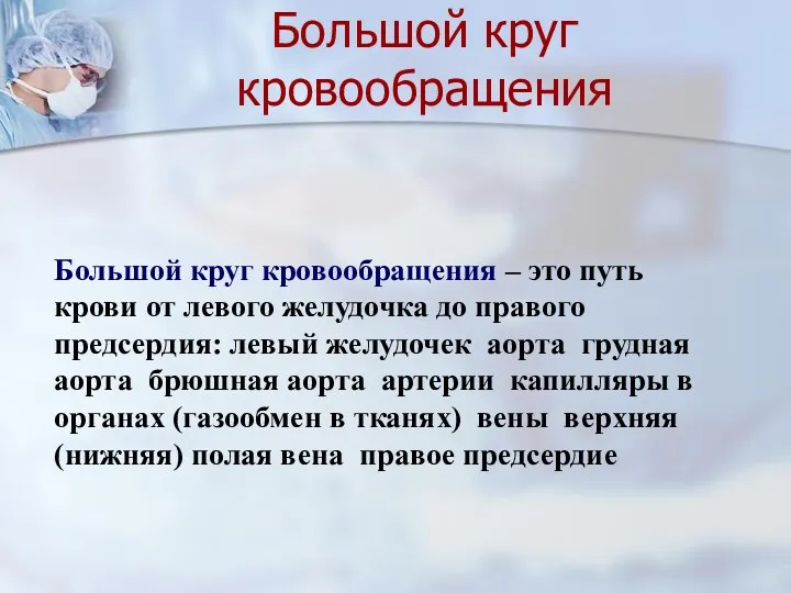 Большой круг кровообращения – это путь крови от левого желудочка