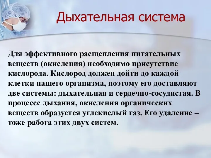 Дыхательная система Для эффективного расщепления питательных веществ (окисления) необходимо присутствие