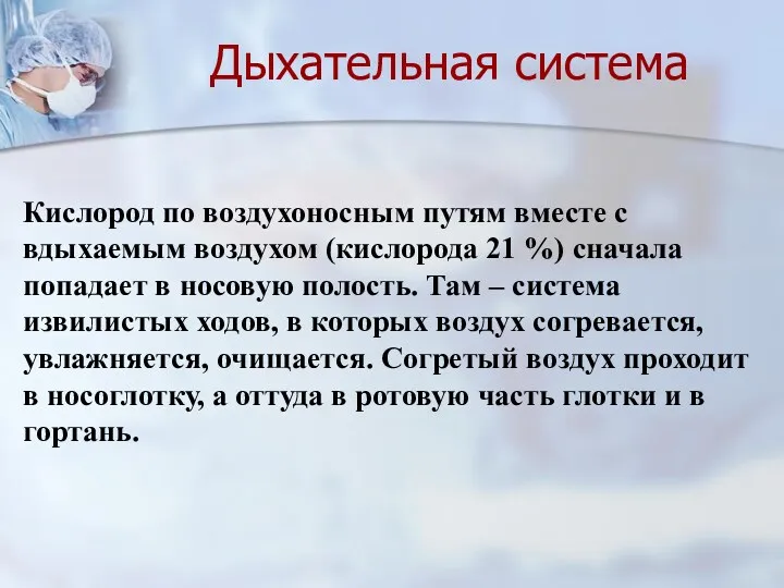 Дыхательная система Кислород по воздухоносным путям вместе с вдыхаемым воздухом