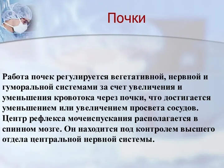 Работа почек регулируется вегетативной, нервной и гуморальной системами за счет