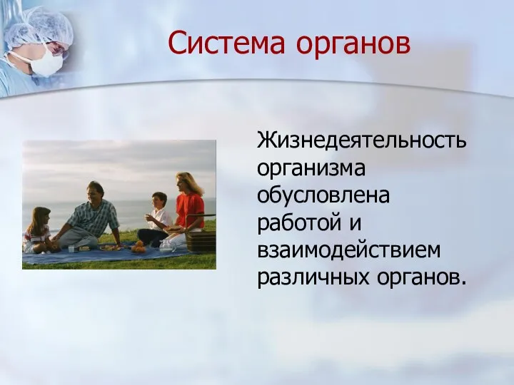 Жизнедеятельность организма обусловлена работой и взаимодействием различных органов. Система органов