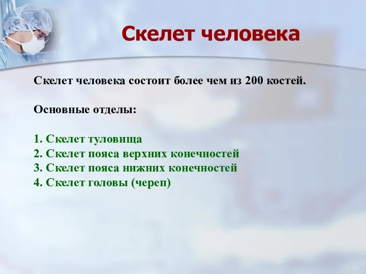 Скелет человека состоит более чем из 200 костей. Основные отделы: